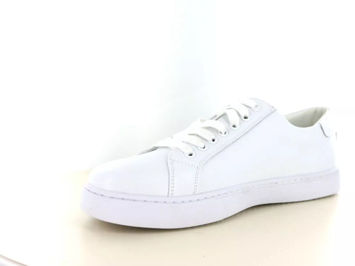 Hafjes Hafjes Milano