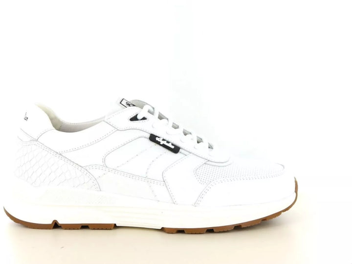 Australian Australian Covilha wijdte H