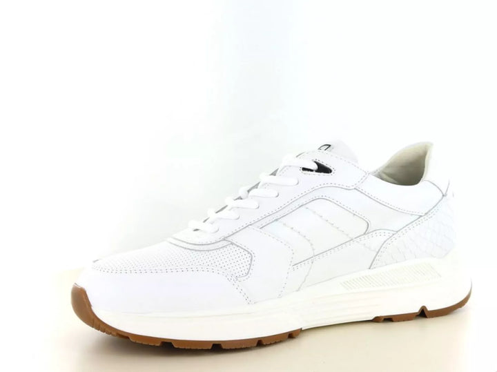 Australian Australian Covilha wijdte H