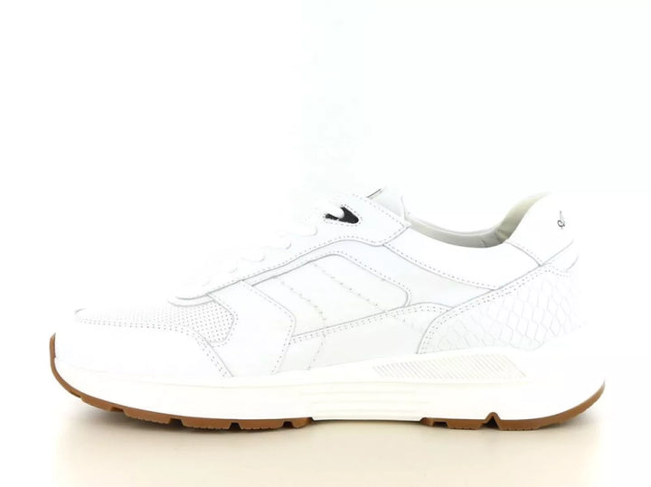 Australian Australian Covilha wijdte H