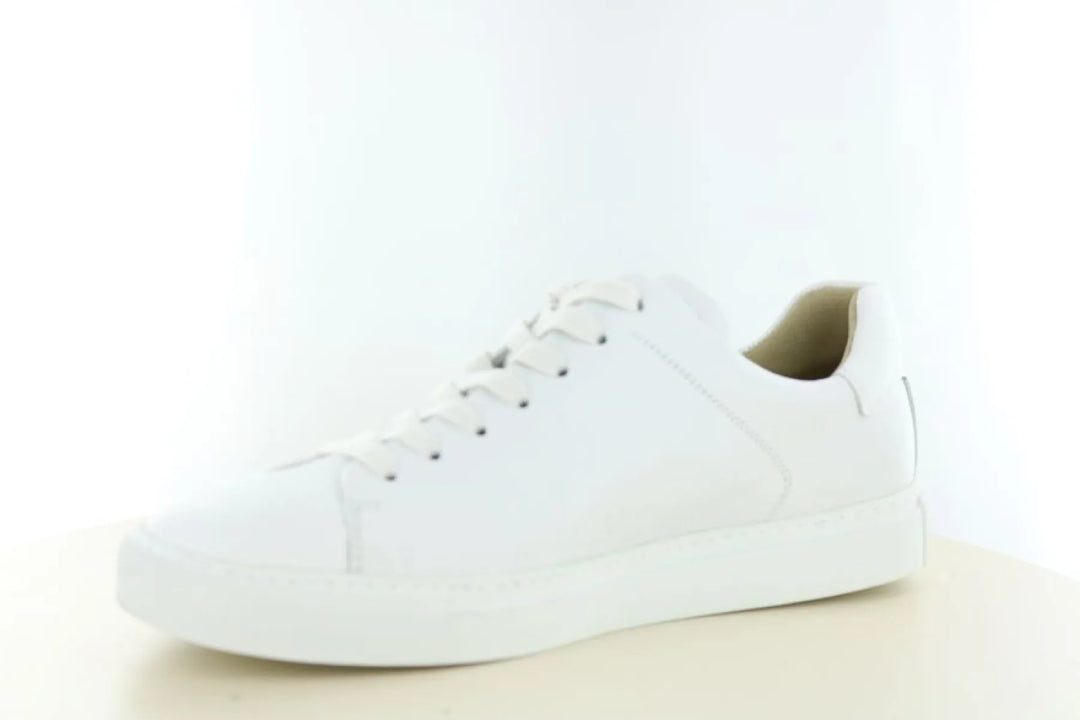 Hartjes Hartjes 163.8003/99