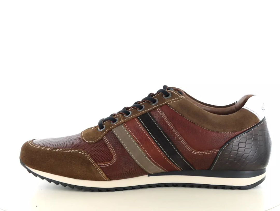 Australian Australian Camaro wijdte G