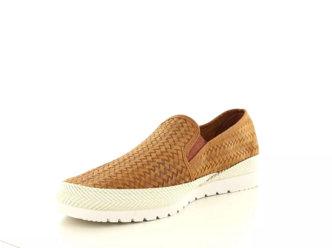 Verbenas Verbenas Boris