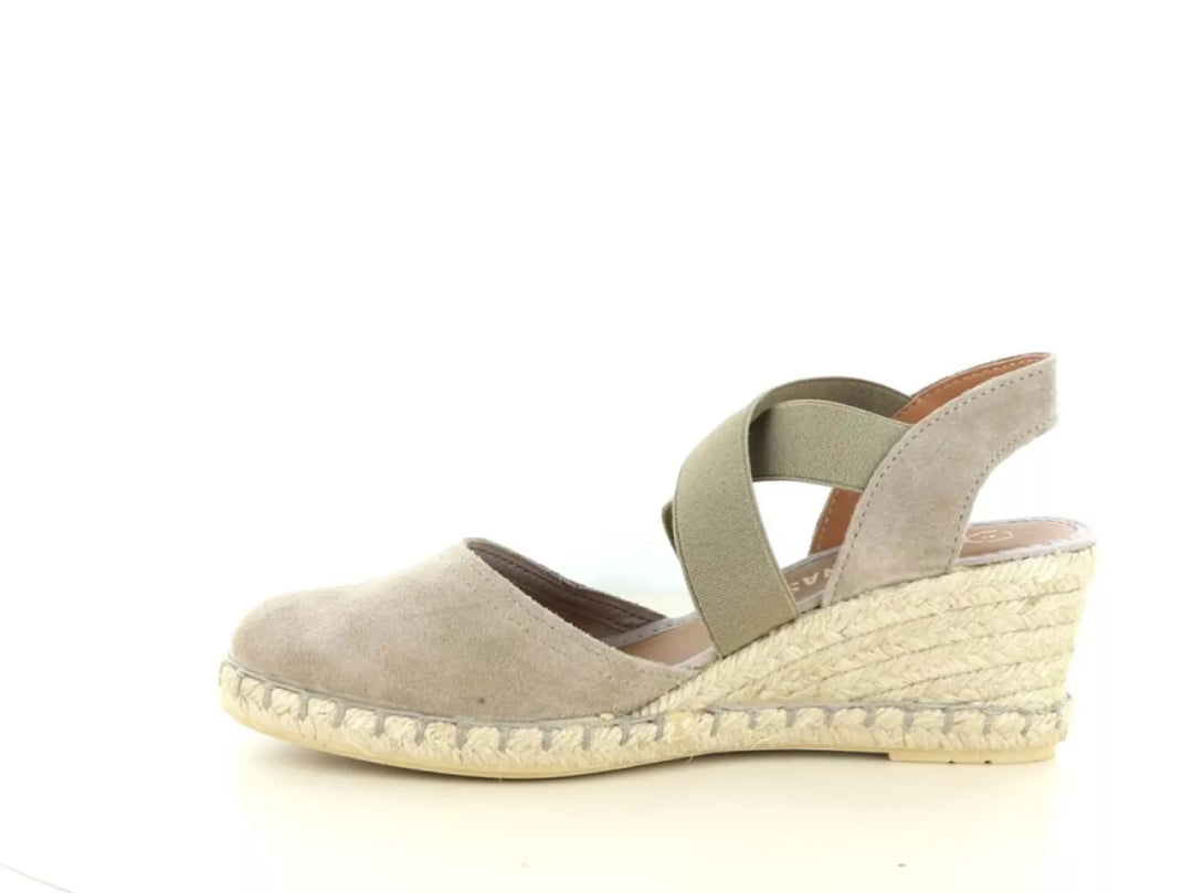 Verbenas Verbenas Mila