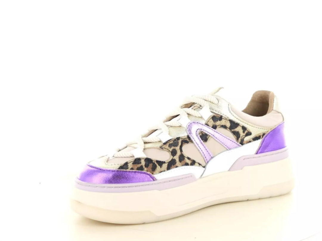 DWRS DWRS Walton leopard