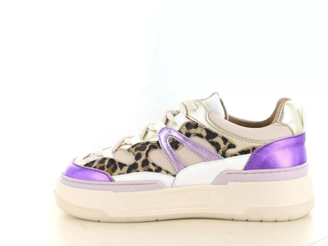 DWRS DWRS Walton leopard