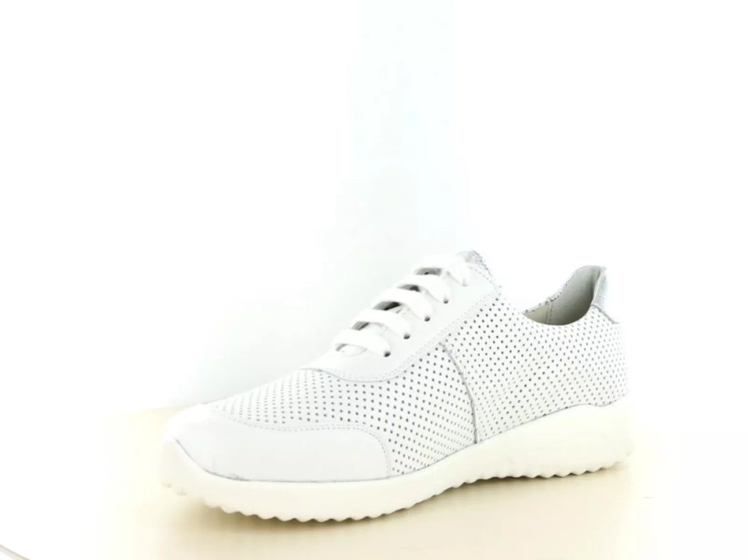 Solidus Solidus 60003 10153 wijdte K