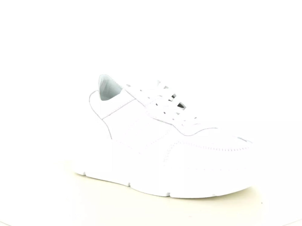 PS Poelman PS Poelman Jana 08