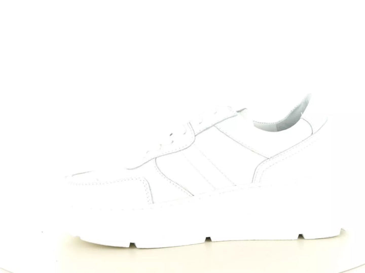 PS Poelman PS Poelman Jana 08