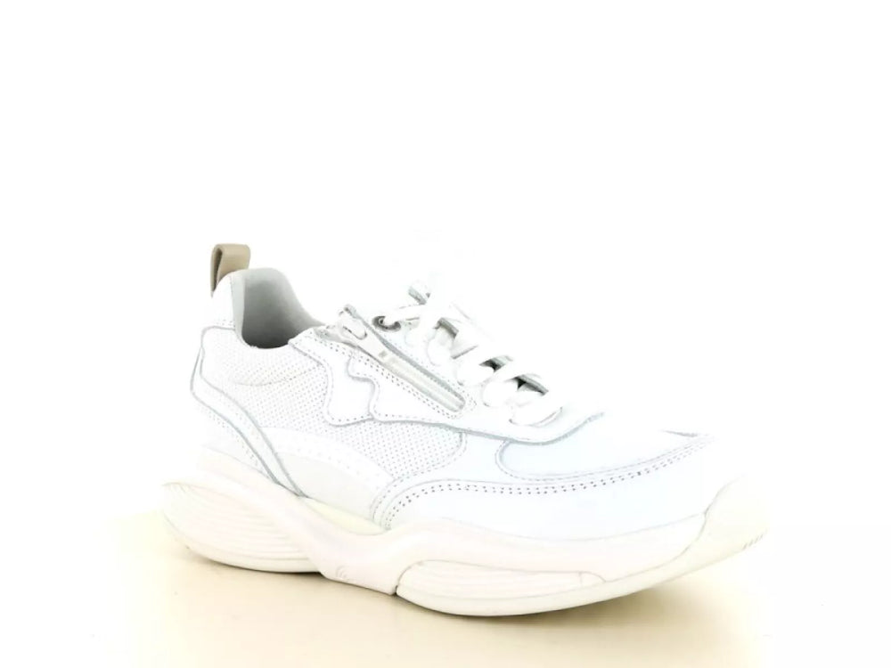 Xsensible Xsensible 32005.3 wijdte K