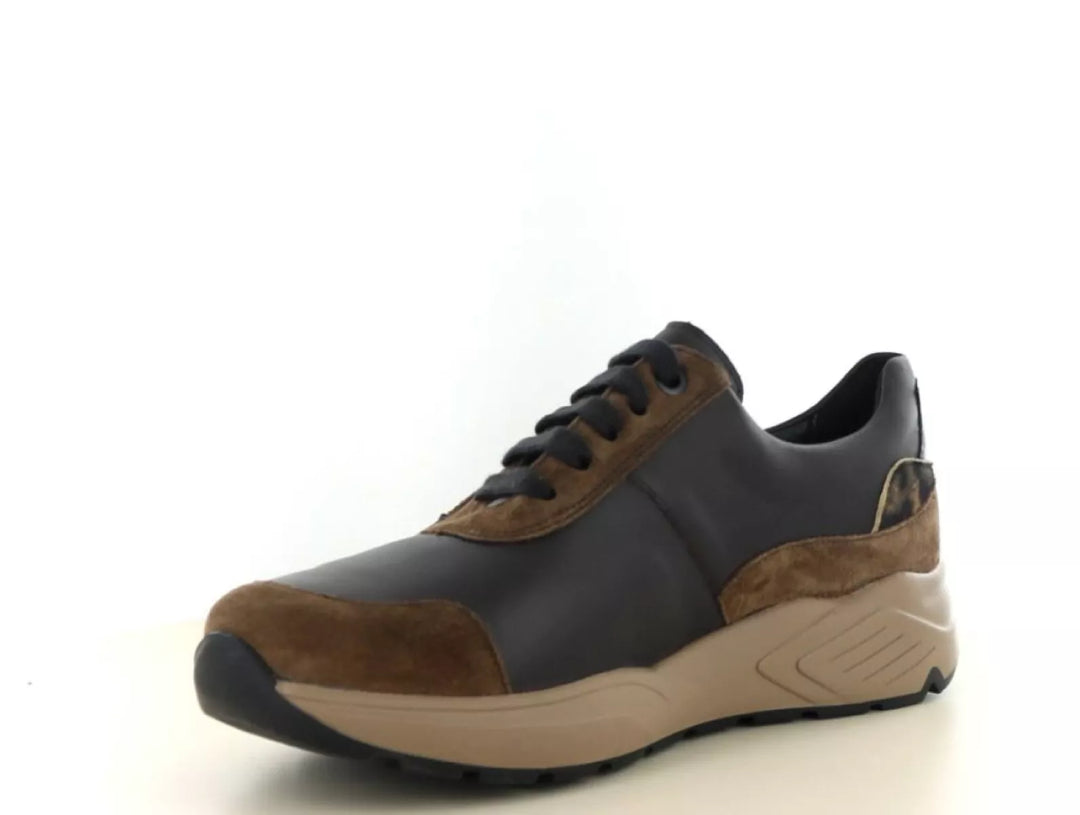 Solidus Solidus 66034 wijdte K