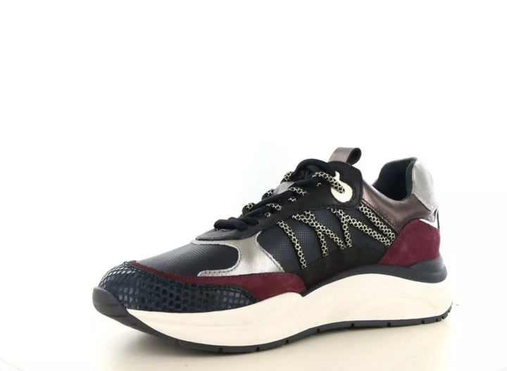 PS Poelman PS Poelman Charu 38