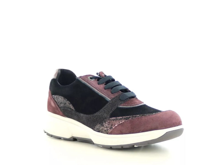 Xsensible Xsensible 30229.2 wijdte H