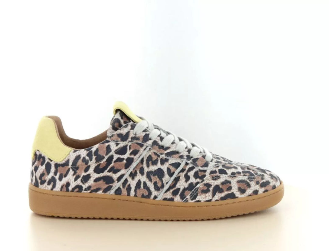 DWRS DWRS Poona Leopard
