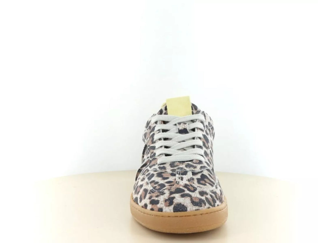 DWRS DWRS Poona Leopard