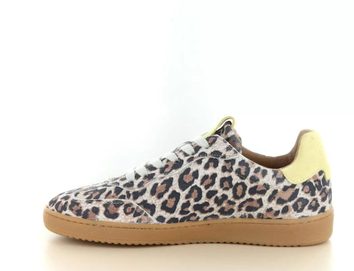 DWRS DWRS Poona Leopard