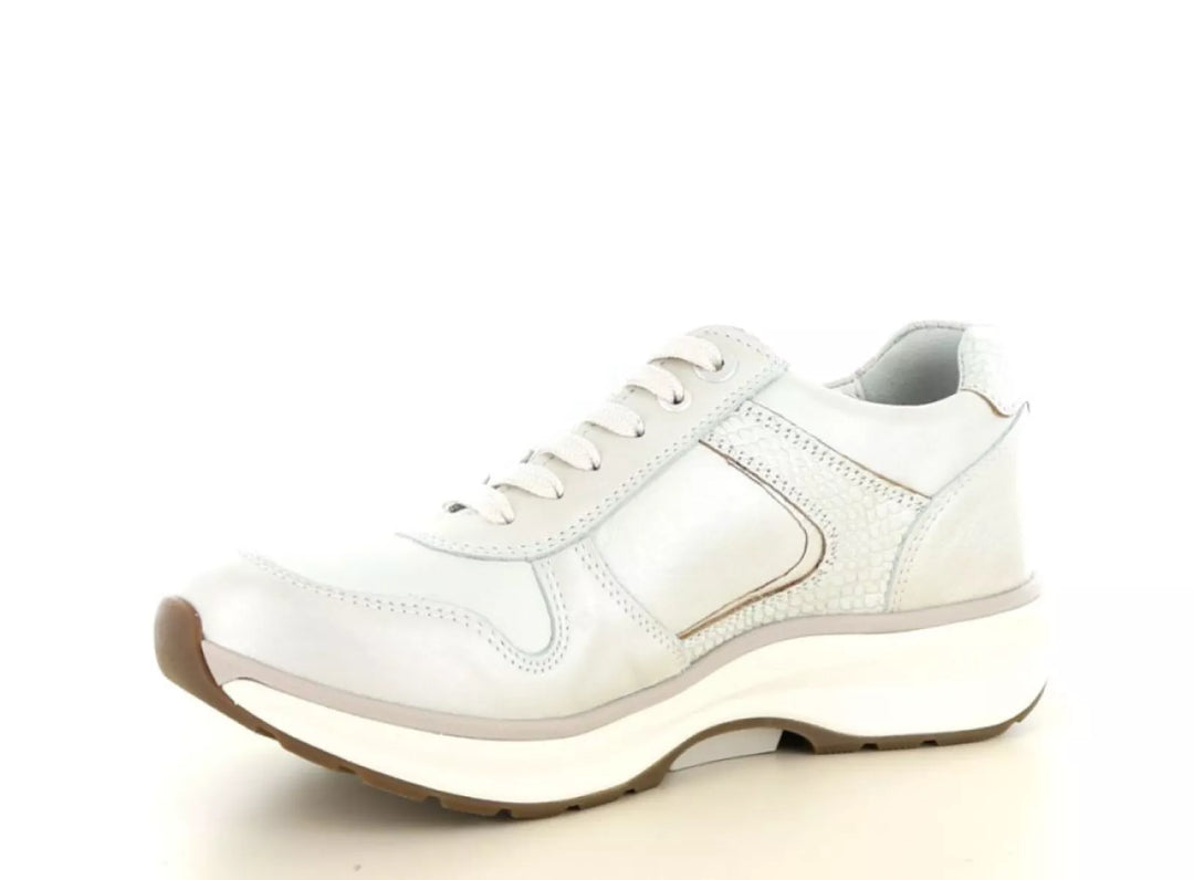 Xsensible Xsensible 30150.3 wijdte G