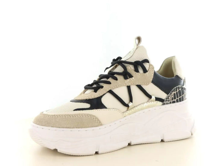 PS Poelman PS Poelman LP Jilly