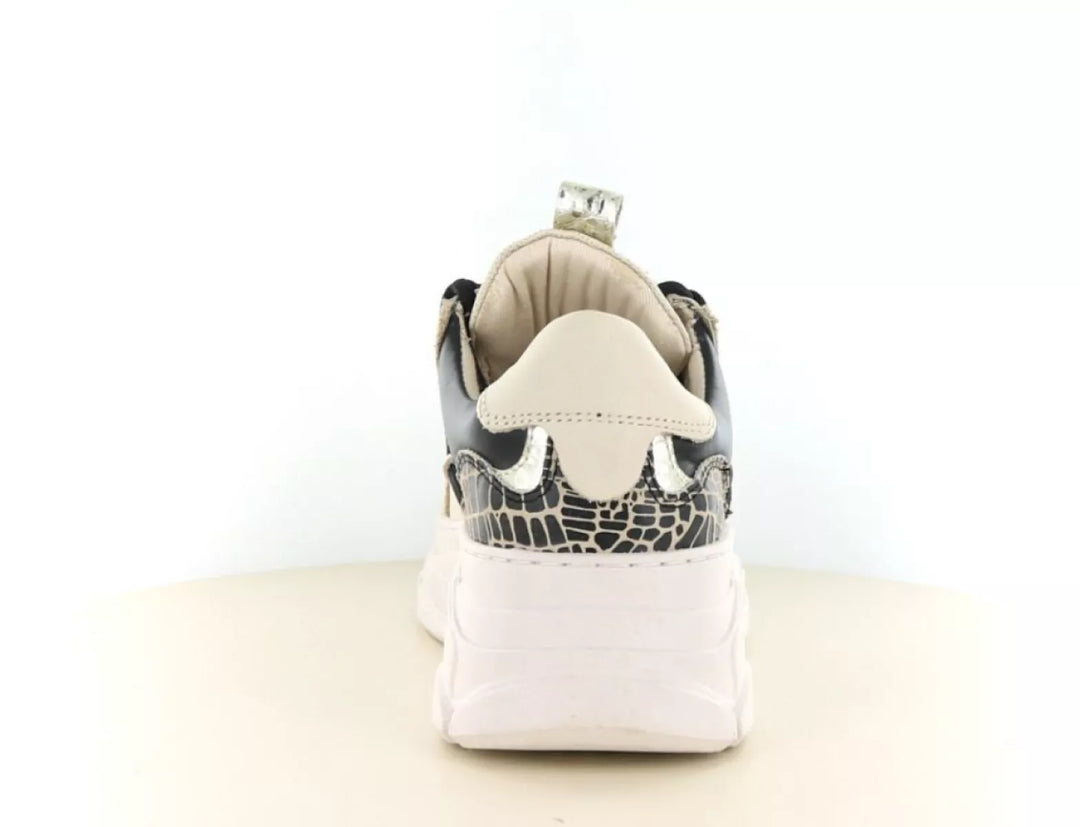 PS Poelman PS Poelman LP Jilly