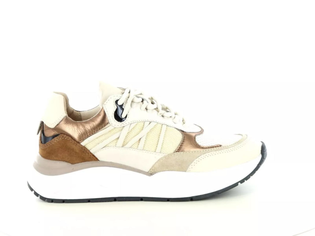 PS Poelman PS Poelman Charu 01