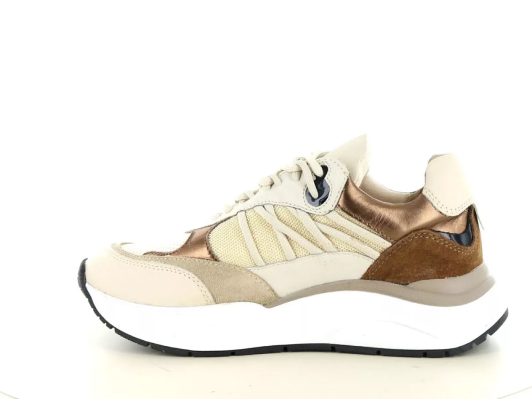 PS Poelman PS Poelman Charu 01