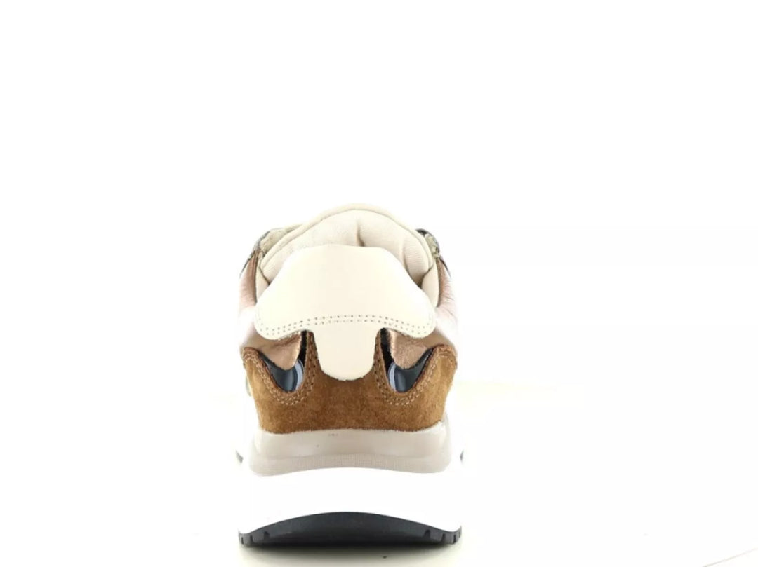 PS Poelman PS Poelman Charu 01