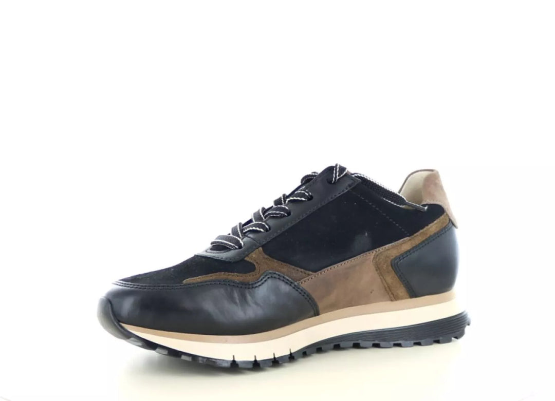 Gabor Gabor 76.378 wijdte H