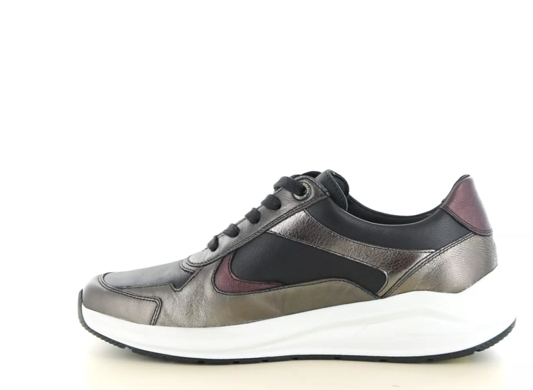 Solidus Solidus 54501 wijdte K