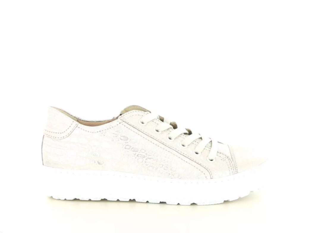 Hartjes Hartjes 162.1430 wijdte H