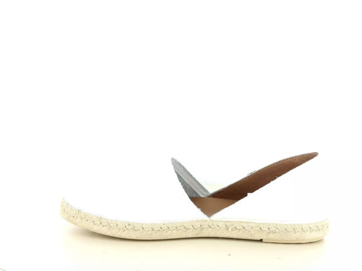 Verbenas Verbenas Carmen 247.10.066