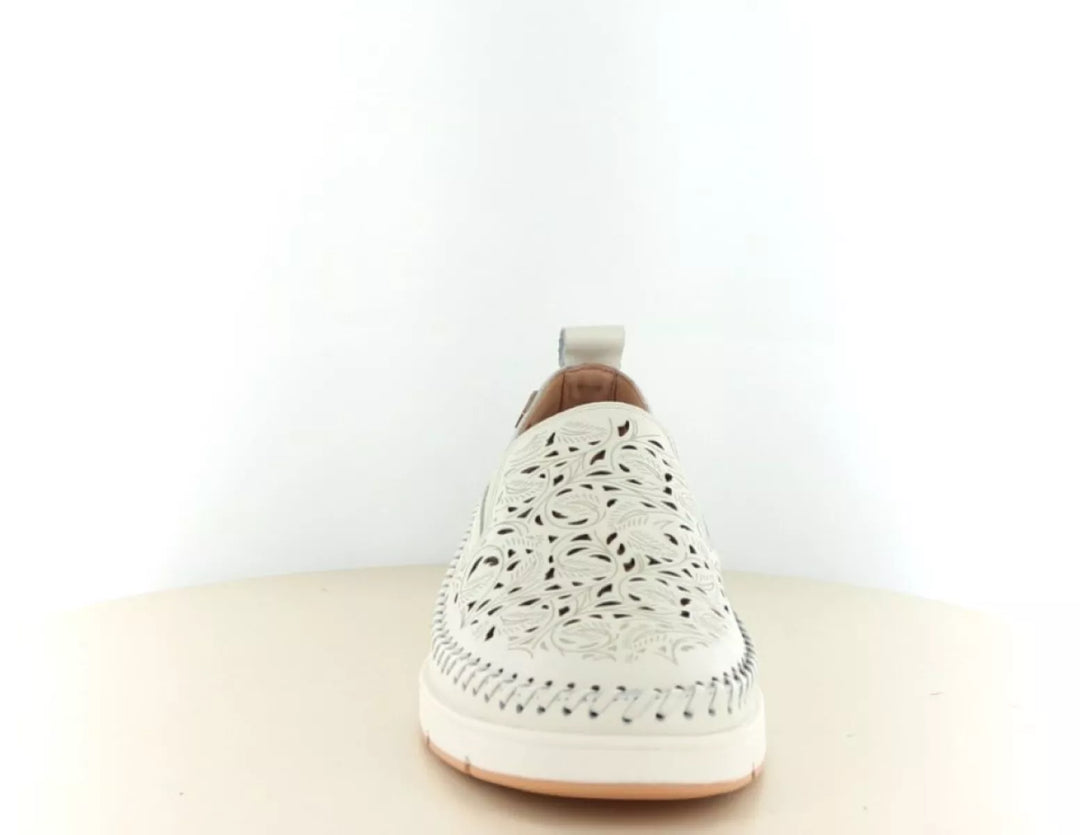 Pikolinos Pikolinos Tenerife