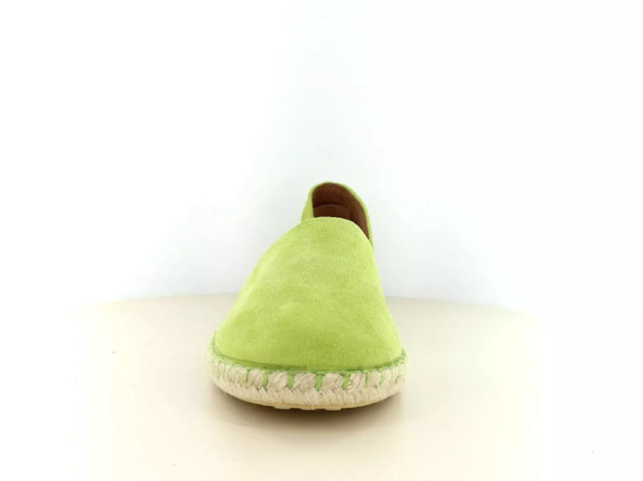 Verbenas Verbenas Carmen