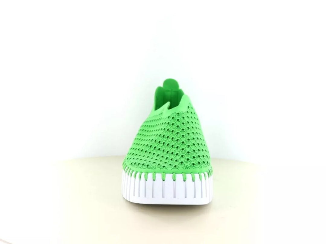 Ilse Jacobsen Ilse Jacobsen Tulip 3373