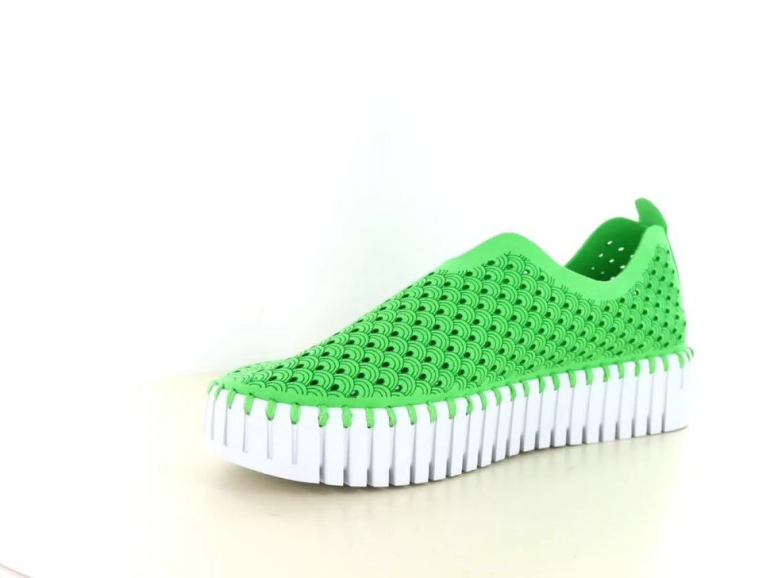 Ilse Jacobsen Ilse Jacobsen Tulip 3373