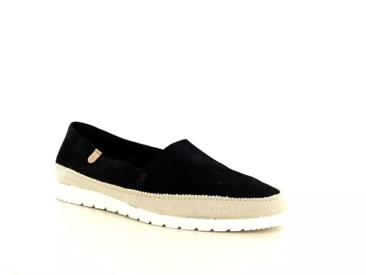 Verbenas Verbenas Noa