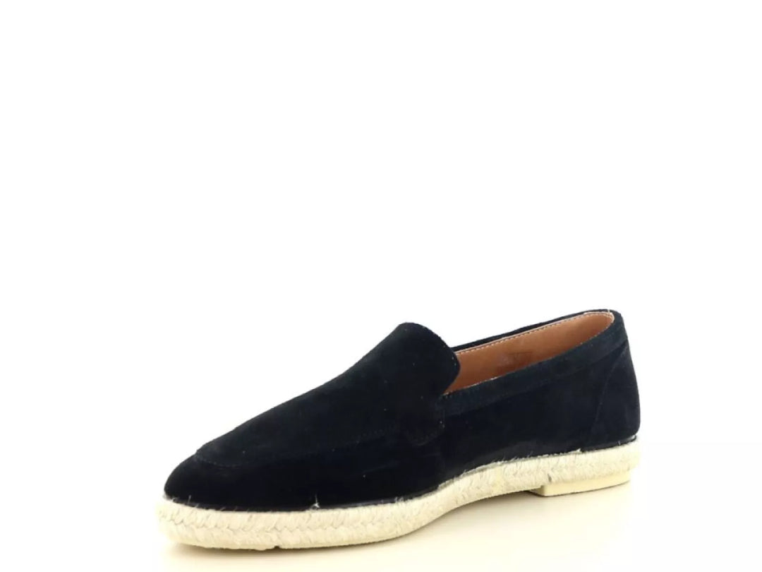 Verbenas Verbenas Karina