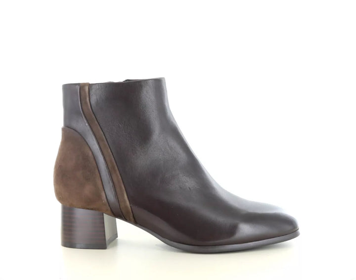 Regarde le Ciel Regarde le Ciel Piera 10