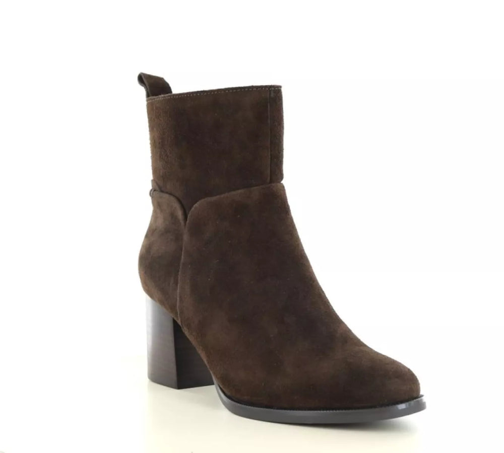 PS Poelman PS Poelman CLSHN2259