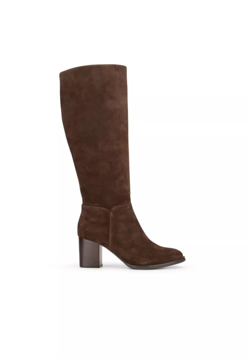 PS Poelman PS Poelman CLSHN2259