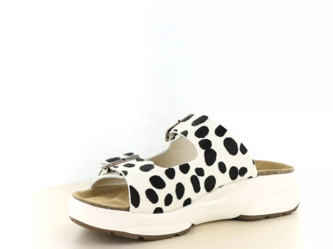 Xsensible Xsensible 30803.5 wijdte H