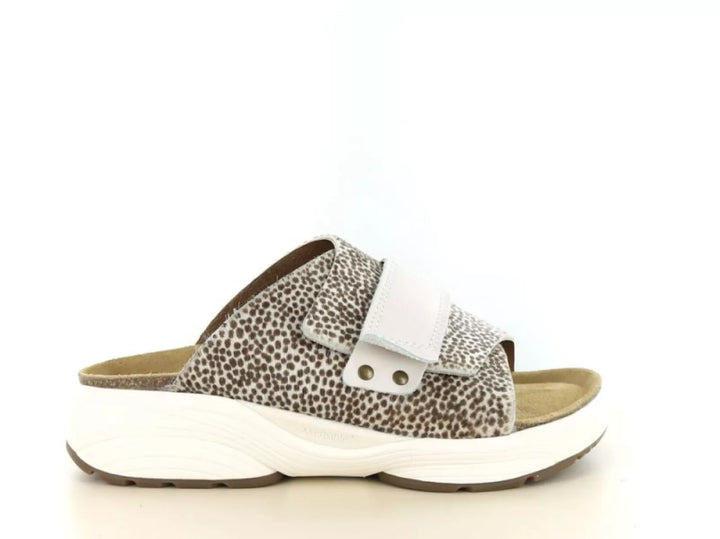 Xsensible Xsensible 30800.5 wijdte H