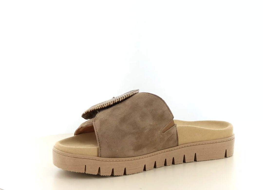 Gabor Gabor 83.742 wijdte G 1/2