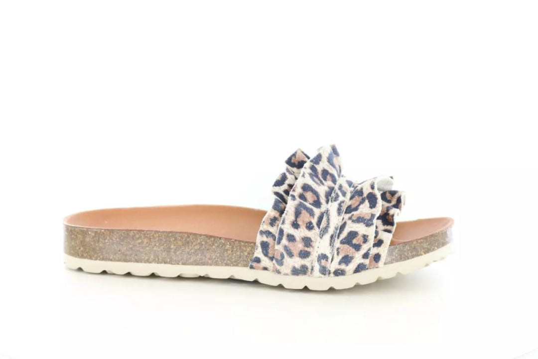 Verbenas Verbenas Rocio