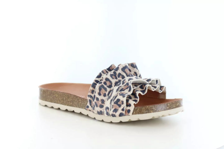 Verbenas Verbenas Rocio