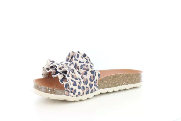 Verbenas Verbenas Rocio