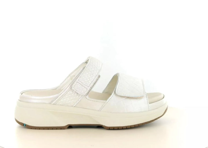 Xsensible Xsensible 30709.5 wijdte H