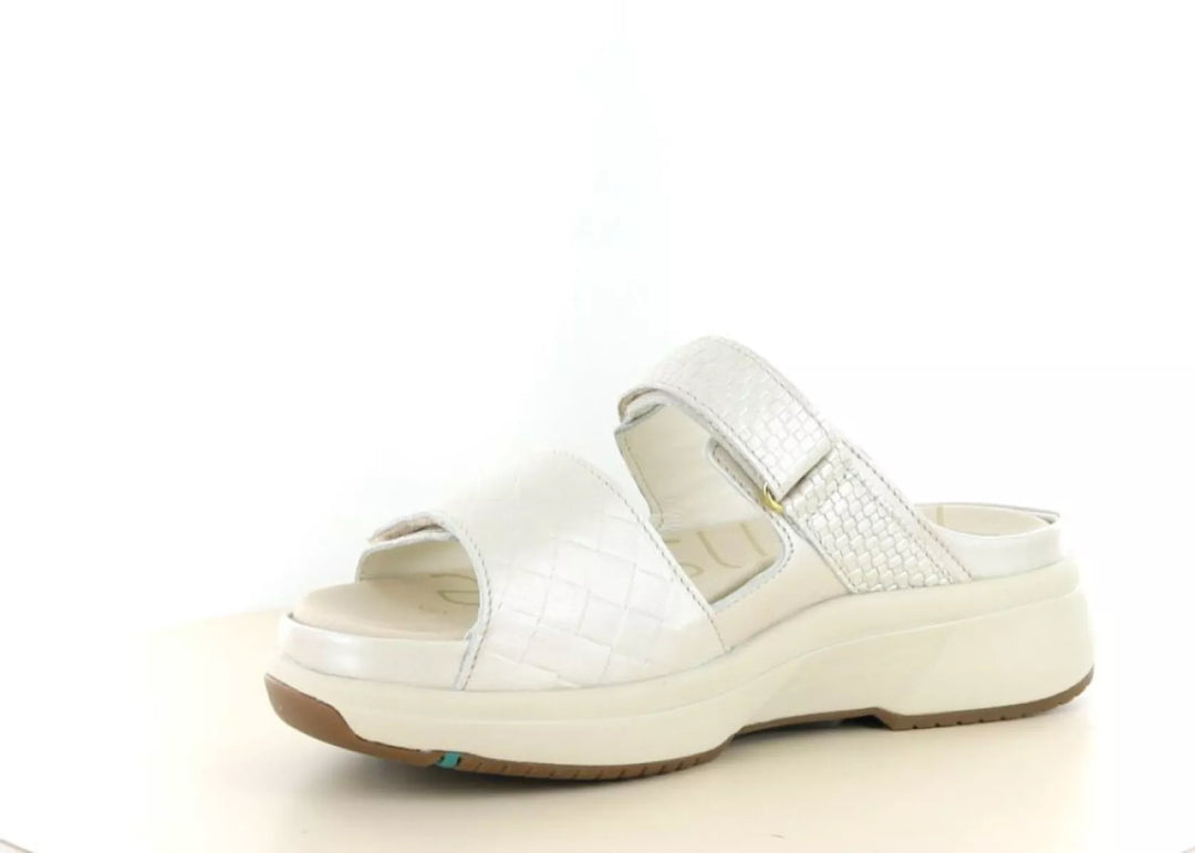 Xsensible Xsensible 30709.5 wijdte H