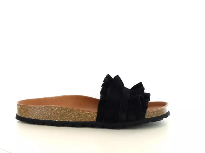 Verbenas Verbenas Rocio