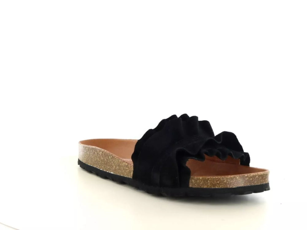 Verbenas Verbenas Rocio