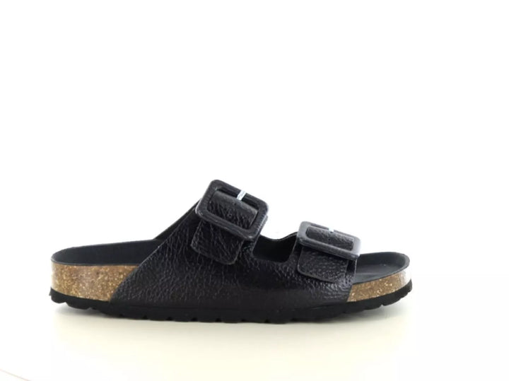 Verbenas Verbenas Randell